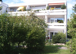 Sanierung der Blumentröge